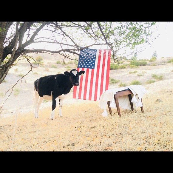 Other - 🎁 ✌🏼